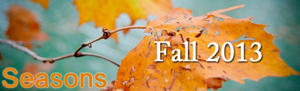 Seasons - Fall 2013