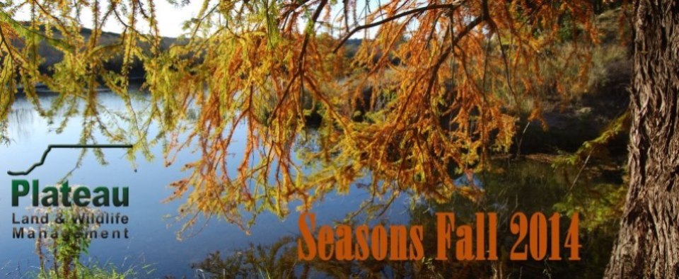 Seasons - Fall 2014
