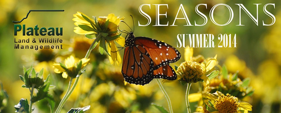 Seasons - Summer 2014
