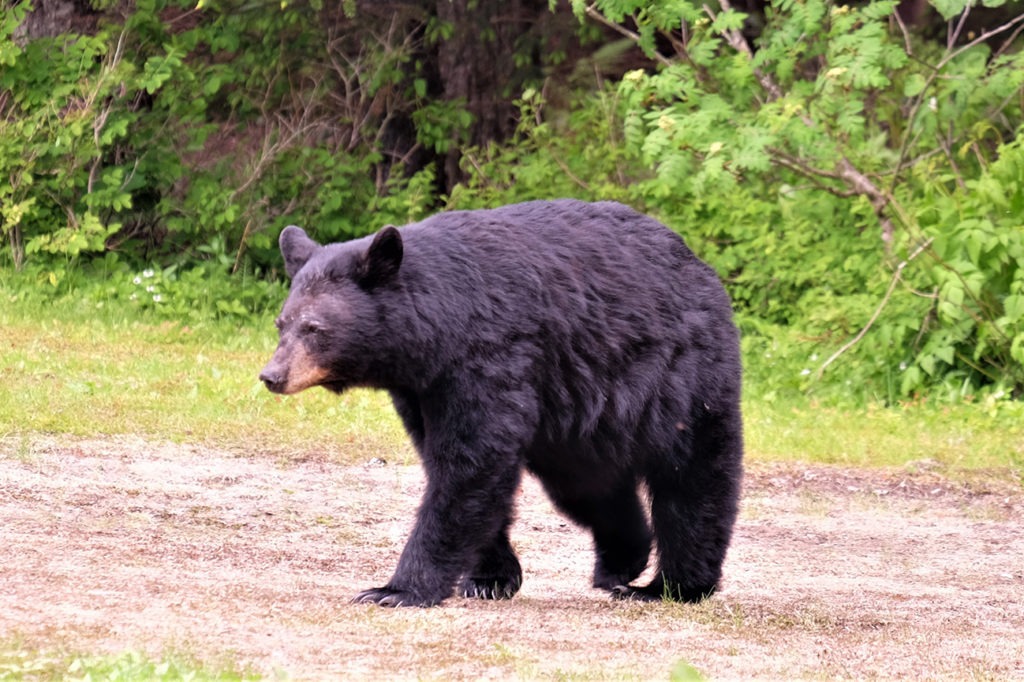 Plateau Land & Wildlife Management ™ Seasons Plateau Land