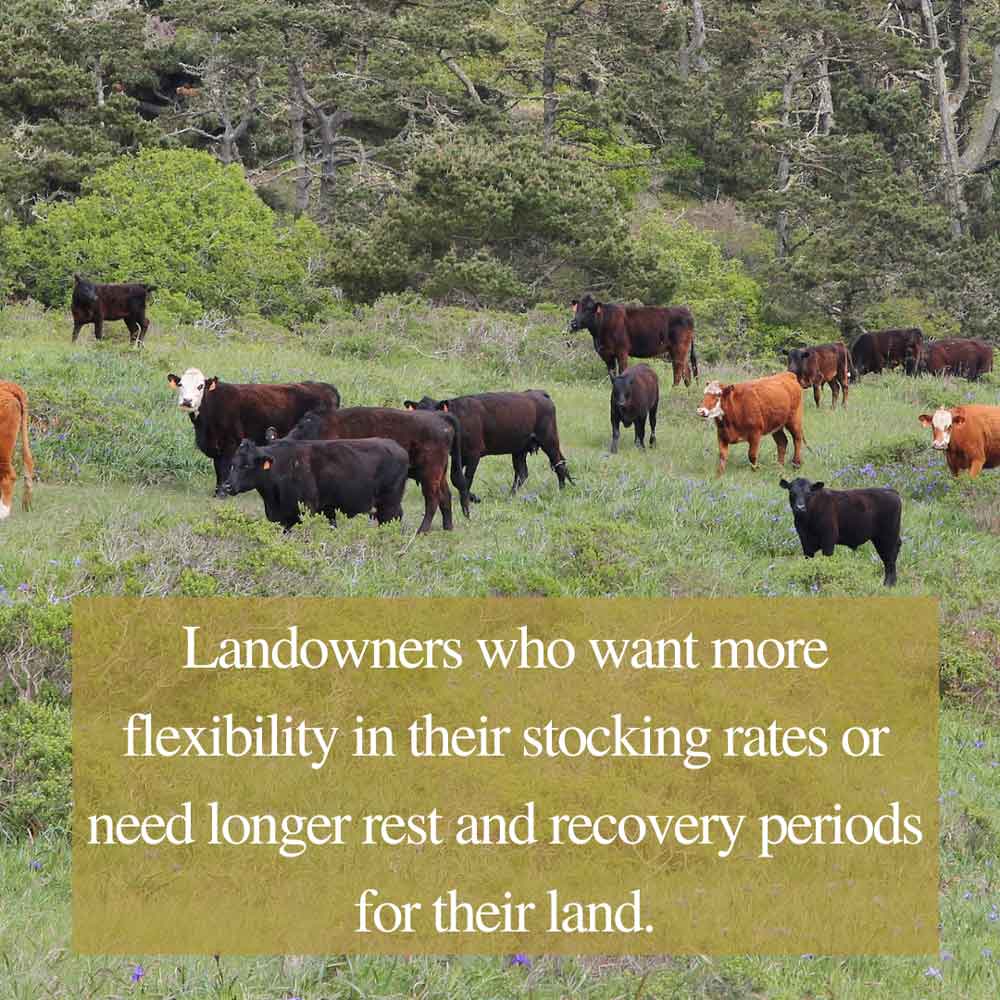 Plateau Wildlife banner