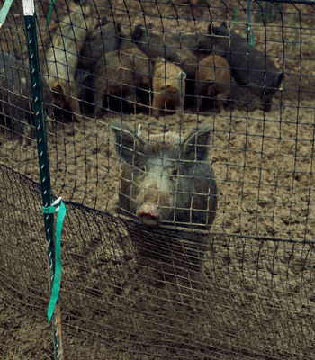 Untitled design (89)