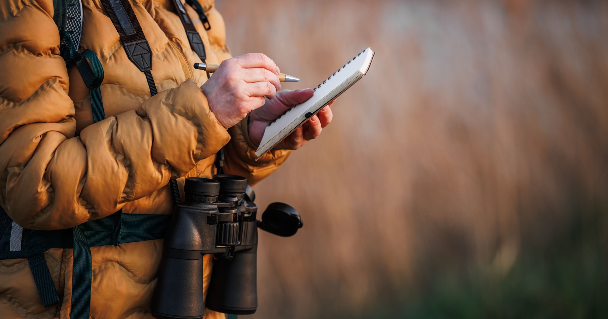 Winter Bird Surveys Texas